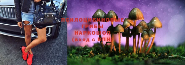метамфетамин Покачи