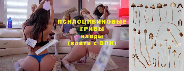 соль ск Абдулино