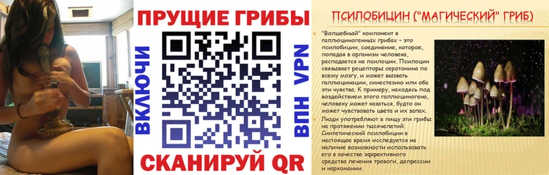 сколько стоит  Суздаль  Псилоцибиновые грибы прущие грибы 