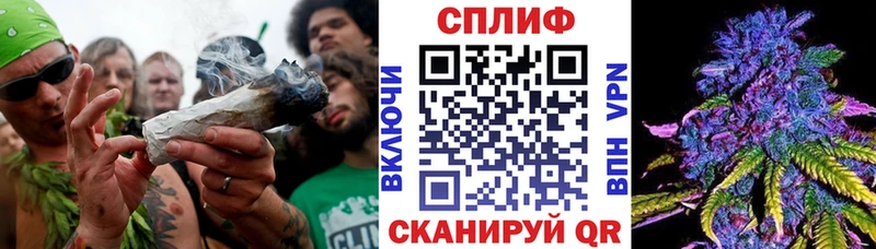 ссылка на мегу вход Суздаль Конопля OG Kush